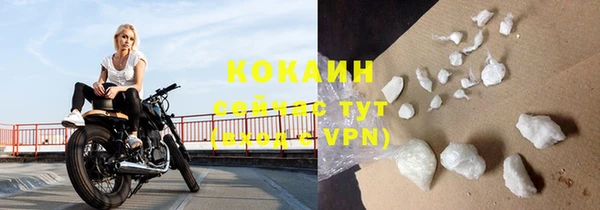 индика Армянск