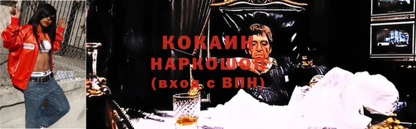 шишки Балахна