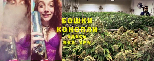 шишки Балахна