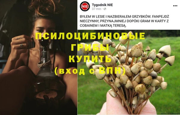 дмт Баксан