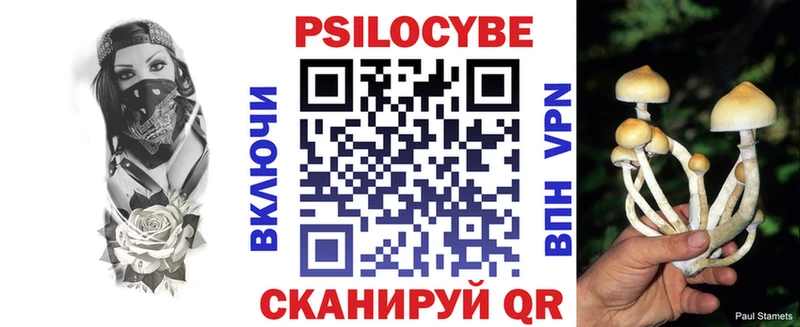 купить   Валдай  Псилоцибиновые грибы мицелий 