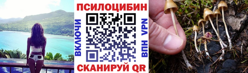 Псилоцибиновые грибы Cubensis Валдай